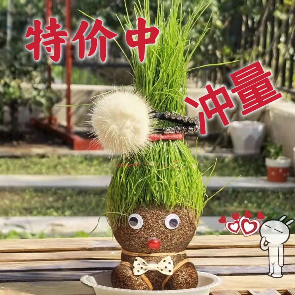 The grass on the head of the small plant pot will grow grass on the head of the doll elementary school kindergarten graduation gift to the classmates