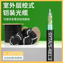 GYTA GYTS layer-twisted armored optical cable outdoor single-mode 4 6 8 12 24 48 72 96 cores 144 cores