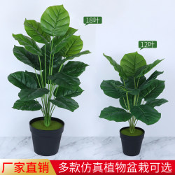 Simulated Green Plant Monstera Artificial Flower Living Room Plastic Decoration Green Plant Floor-Standing Potted Plant Potted Bonsai