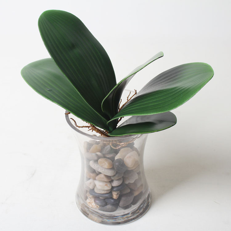 Orie Orchid simulation flower leaf material of hand - sensed butterfly butterfly orchid leaf 9cm with root leaf