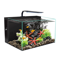 Fish tank living room small desktop fish tank home TV cabinet next to fish tank ultra-white glass back filter self-circulating aquarium