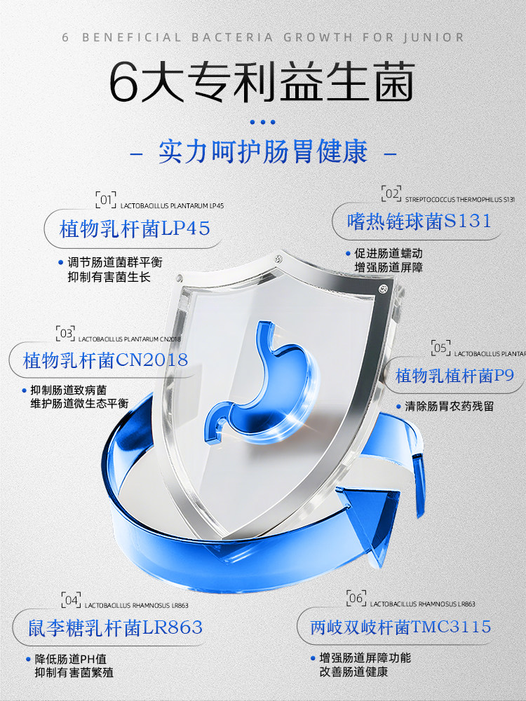 Jiangzhong P9 Probiotics for Adults to Regulate Gastrointestinal Tract Constipation, Prebiotic Small Silver Bars for Kidsren and Women, Bifidobacterium