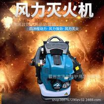 Forest fire fighting portable wind fire extinguisher two-stroke four-stroke backpack gasoline-powered hair dryer