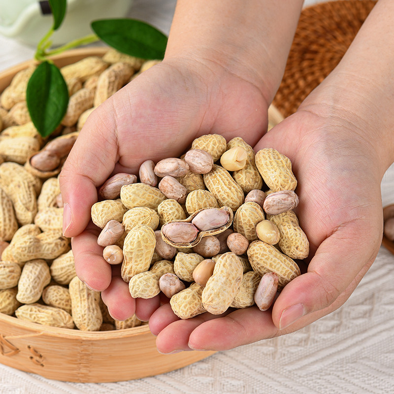 芥末熊 龙岩花生 500g 天猫优惠券折后￥7.9包邮（￥9.9-2）多味可选