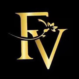 FV官方企业店
