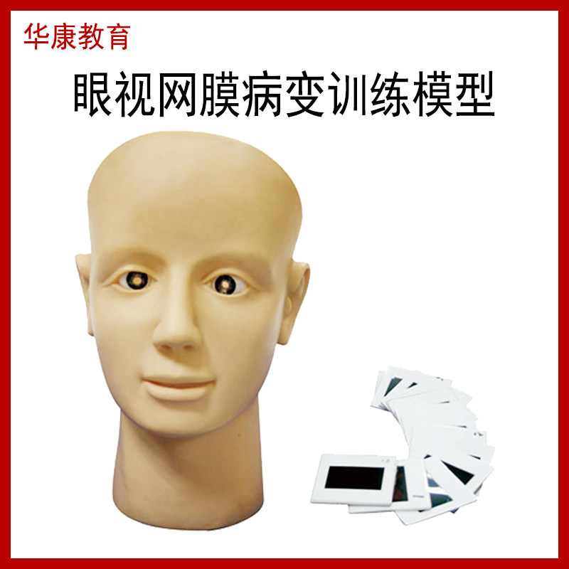 眼视网膜病变训练模型老年人眼睛高血压糖尿病人眼球检查练习假人