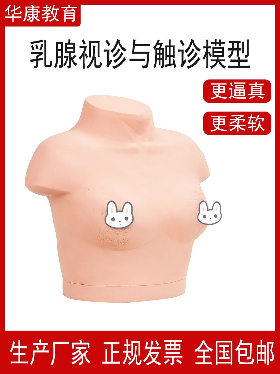 HK14A乳腺视诊与触诊模型医学仿真女性乳房胸部临床教学自检模具