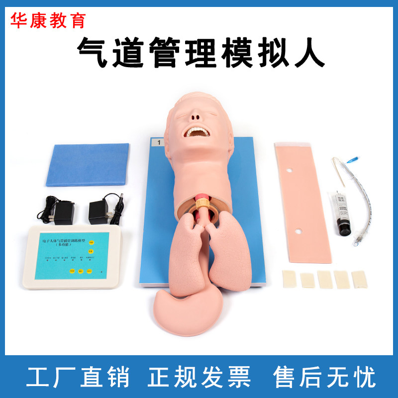 气道管理模拟人气道开通与呼吸维持技术气管插管环甲膜穿刺模型