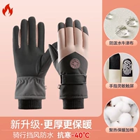 Эксклюзивная модель ⭐Темно-серый порошок [Пять утолщенных слоев + сохранение тепла на 3 секунды + уровень листьев лотоса водонепроницаемый + нескользящий и износостойкий] Длительная морозостойкость -40°.