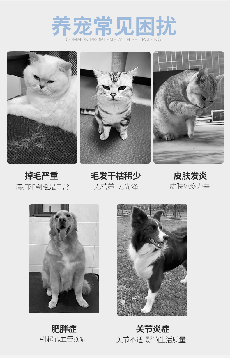 朗博特深海鱼油软胶囊宠物狗狗猫咪60粒