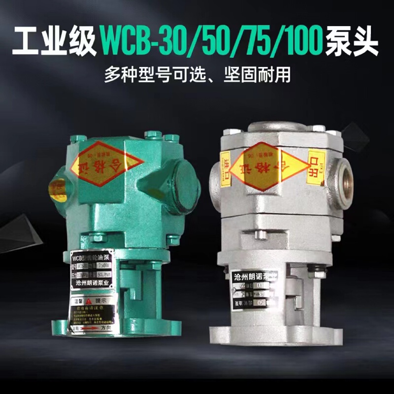 Wcb Gear Pump Head Slag Oil Pump Coal Tar Diesel Pump Cast Iron Stainless Steel Two-Way High Temperature Engine Oil Soybean Oil Wcb Gear Pump Head Slag Oil Pump Coal Tar Diesel Pump Cast Iron Stainless Steel Two-Way High Temperature Engine Oil Soybean Oil