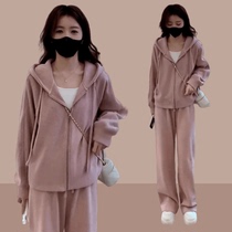 Spring and autumn new style lazy casual sports suit womens hooded loose long-sleeved jacket wide-leg pants two-piece trendy set