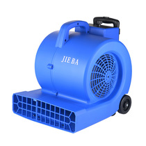 High-end New Tyrant BF545 Blow-drying Machine Blow Ground Machine High Power Blower Carpet Ground Floor Hair Dryer