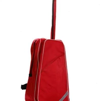 Красный рюкзак, маска