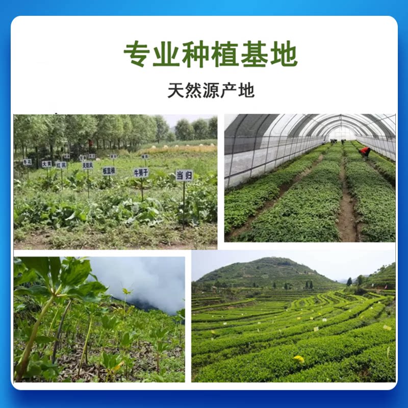 绿咖啡豆提取物30:1到底指什么？2026年绿原酸含量与提取比如何协同影响效果？