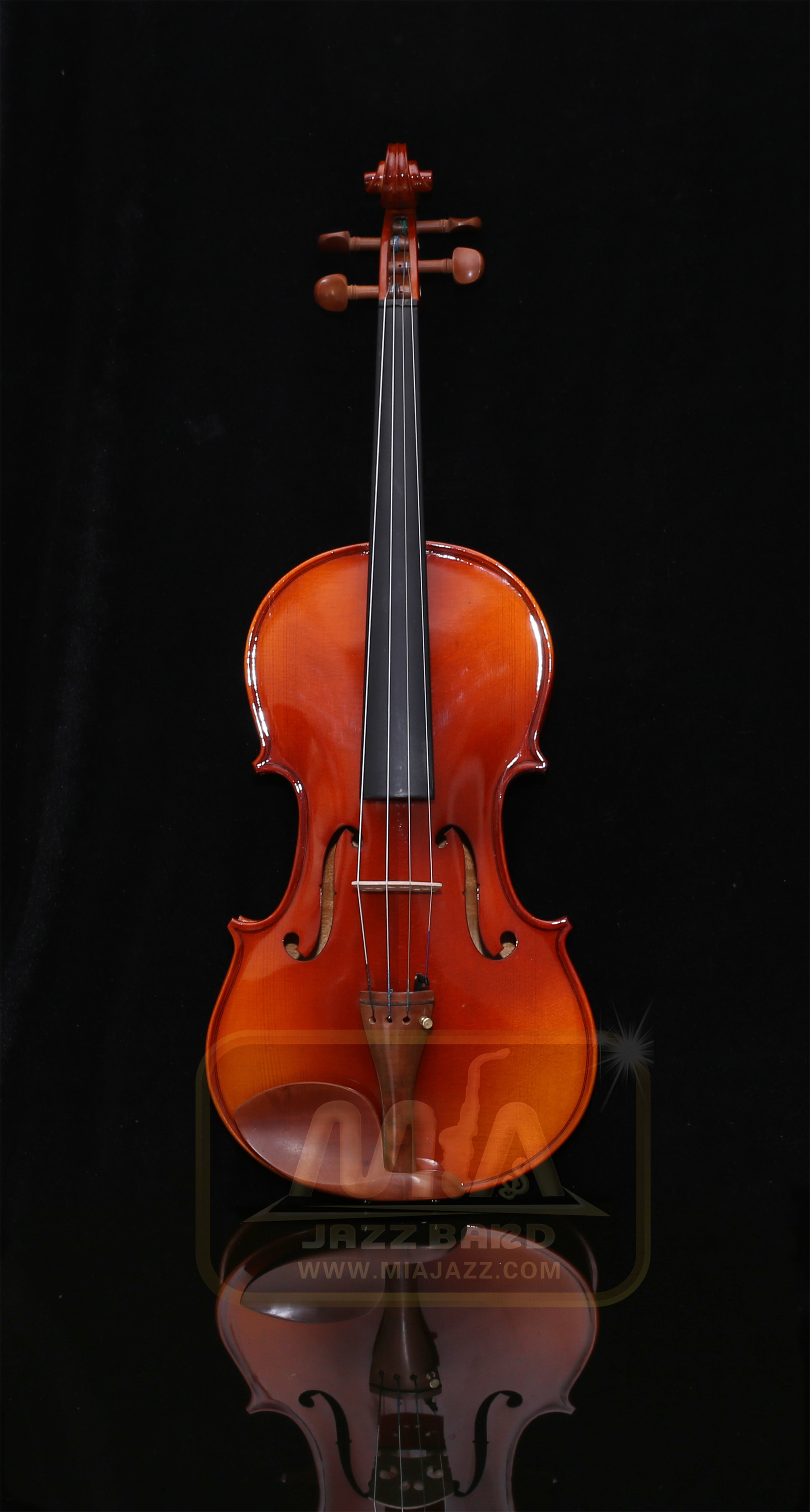 Shanghai Viola Rental Shanghai Viola Rental Strings Rental Instrument Rental Viola Viola