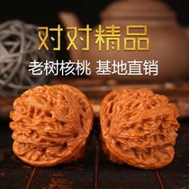 Wenwan Walnut payment link 2