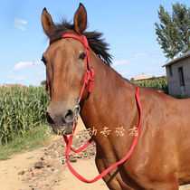 New product water reins mouth bits bits equestrian supplies horse gear water reins small and large pony bridles)