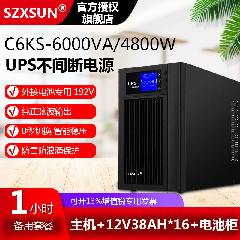 服务器电脑 C6KS 在线式UPS不间断电源6KVA4800W延时1小时套餐