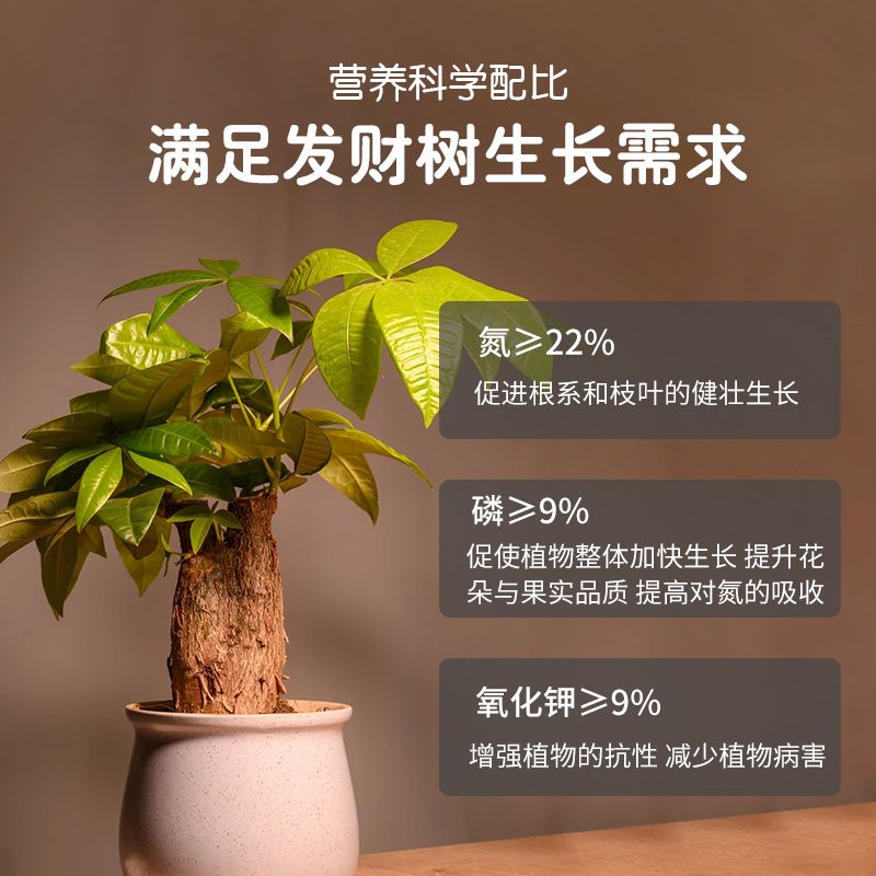 施美特缓释颗粒：土壤健康的秘密武器