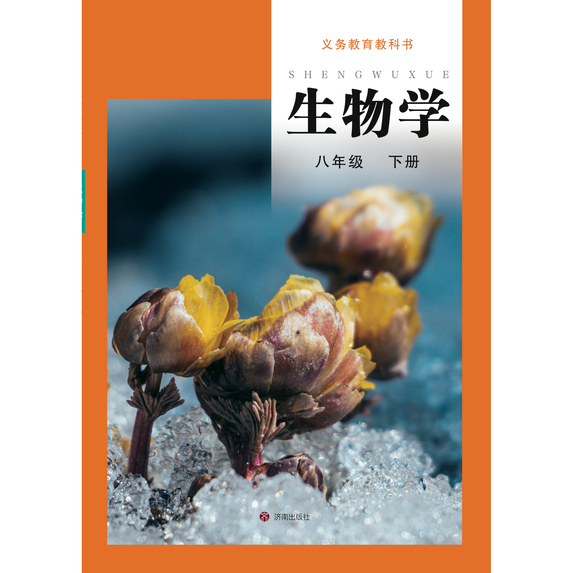 济南周边跟团两日游，哪些景点最值得打卡？