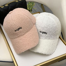 New embroidered baseball cap winter men and womens lamb hat casual eaves hat