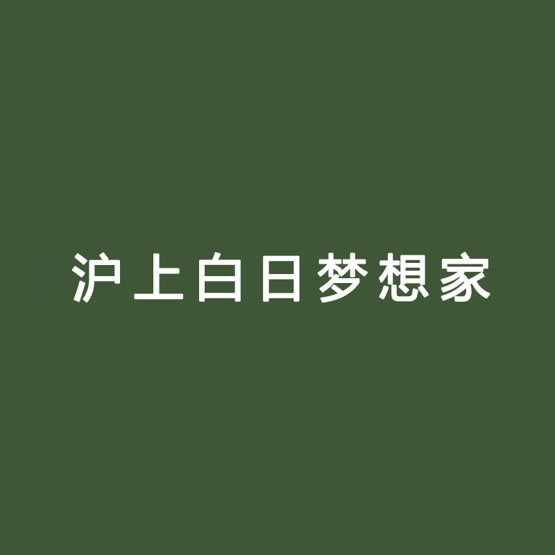沪上白日梦想家的LOGO