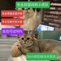 Trouver léquipe de chat Nanjing Tongcheng Trouver une équipe de recherche de chat National Professional Pet Rescue