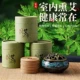 【48 Пластин】 Выдержанный Mugwort отправляется на горелку с благовонием и заглушка благовония
