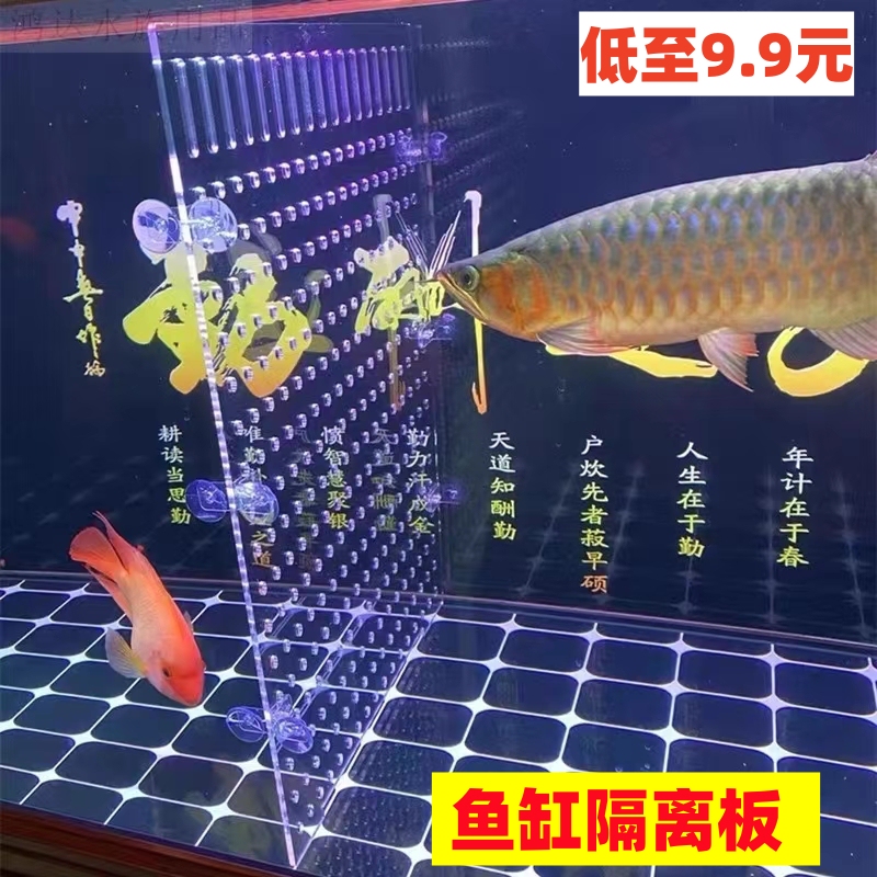 Fish Tank Isolation Board, Cuttable and Bendable Isolation Net, Isolation Tool, Seafood Pool Divider, Partition Board Fish Tank Isolation Board, Cuttable and Bendable Isolation Net, Isolation Tool, Seafood Pool Divider, Partition Board