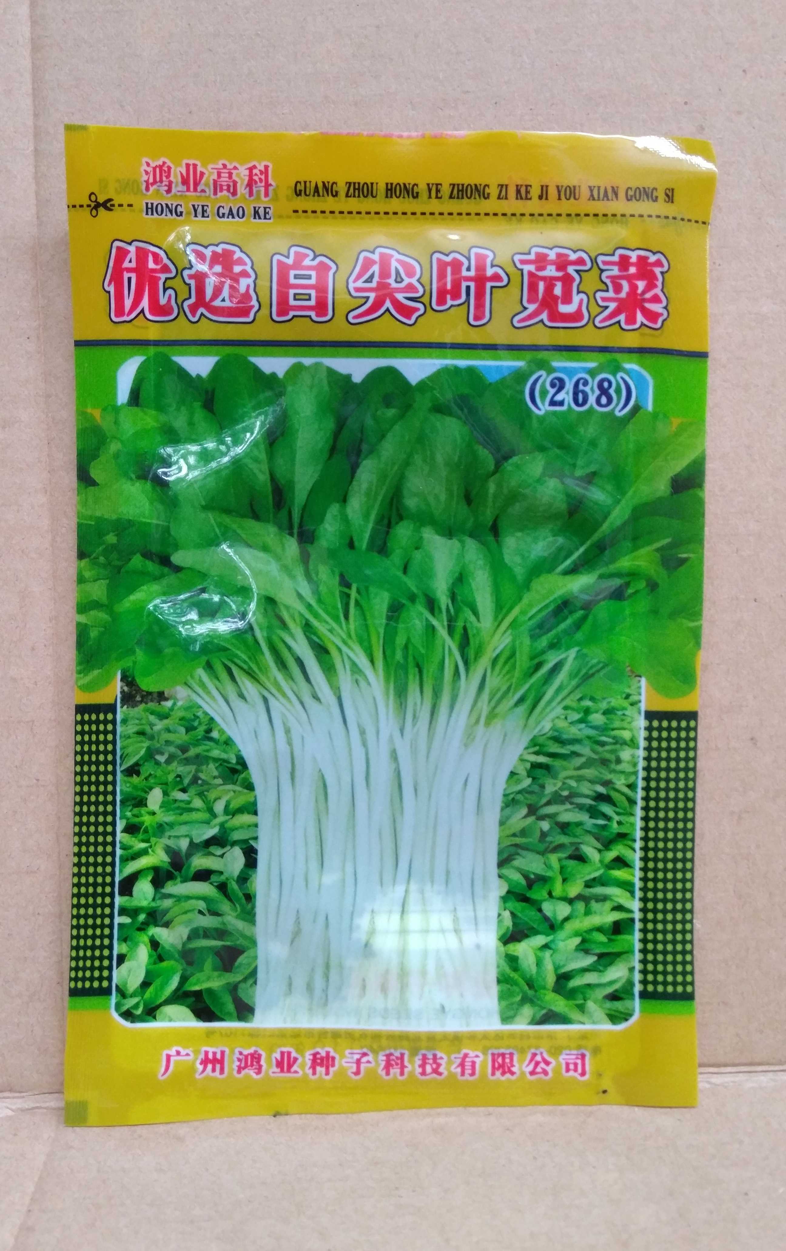 Family planting specialized vegetable seeds white sharp leaf amaranth seeds are easy to grow quickly