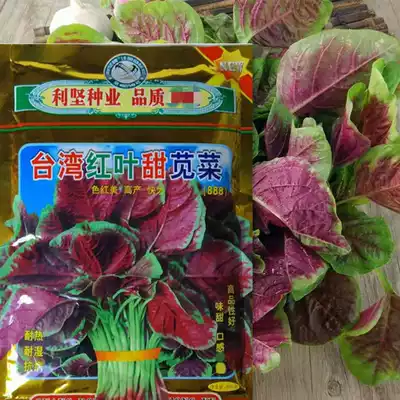 Special Amaranth Seeds Taiwan Red Leaf Sweet Amaranth Seed (400g) Heat and Moisture Tolerance Good Taste