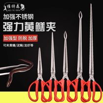New thickened stainless steel eel pliers non-slip anti-shedding eel clip loach clip insect pliers catching and controlling tool