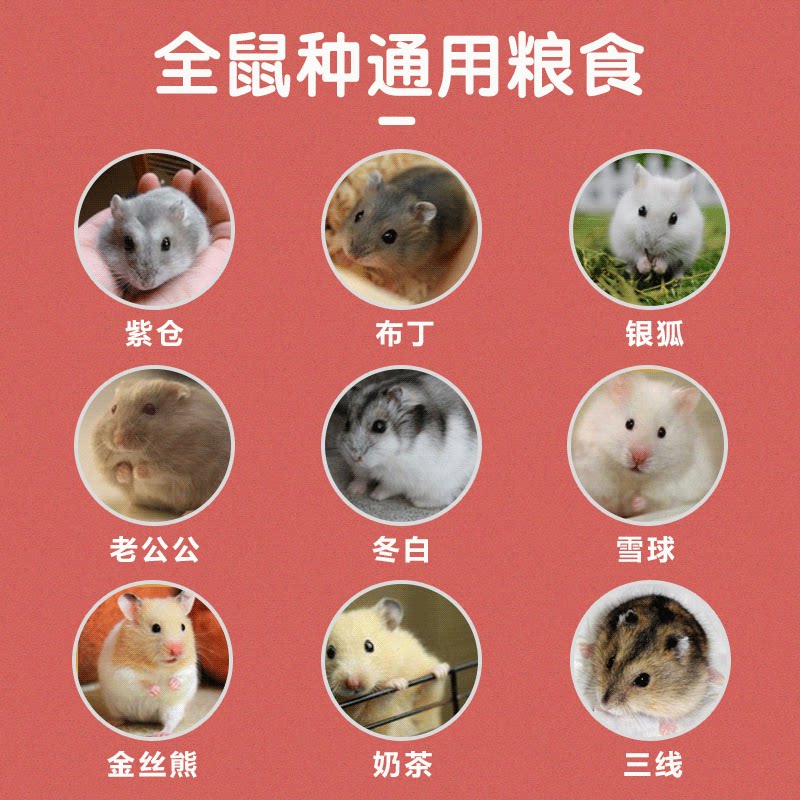 果蔬粮仓鼠粮食金丝熊主粮饲料花枝鼠食物桶装小苍鼠银狐布丁紫仓