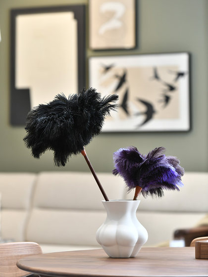 鸡毛掸子家用鸵鸟毛除尘掸扫灰静电掸子清洁神器诧寂风摆件软装饰