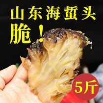 Wild jellyfish head non-ready-to-eat one kilogram or 5 kilograms of bagged jellyfish skin crispy and sand-free cold jellyfish for snacks and drinks