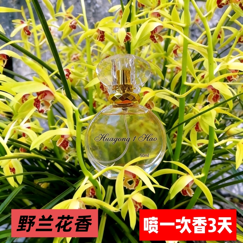 Wild Orchid Scented Orchid Flower Perfume for Men and Women, Long-Lasting Body Fragrance, Car-Mounted Pure Orchid Perfume Scent