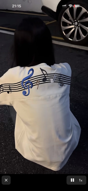 Grass Carp Produces the Broken Music Dream Series, Short Wide Patchwork Cropped Short-Sleeve Boxy Fit Embroidered Top