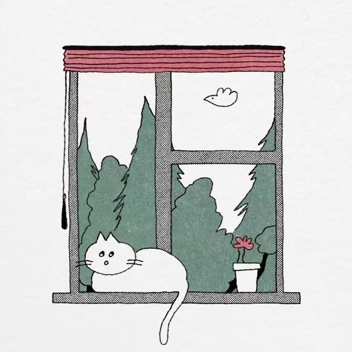 睿居的梦