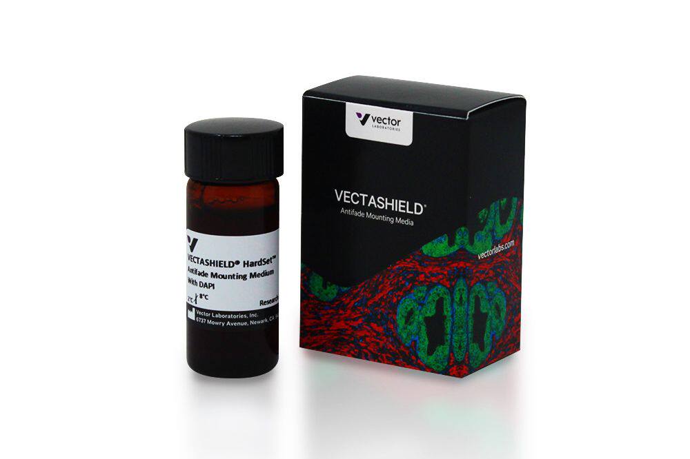 Vectorlabs抗荧光淬灭封片剂VECTASHIELD，含DAPI【H-1500-10】