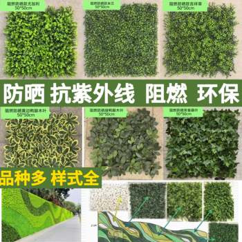 Fire-retardant b1 grade lawn plant wall green plant wall sun protection lawn background wall milan yucali lawn decoration Fire-retardant b1 grade lawn plant wall green plant wall sun protection lawn background wall milan yucali lawn decoration