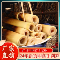 Asperges dasperge prêtes à lemploi avec des poivrons prêts à lemploi avec des pousses de bambou épicées et épicées avec des asperges et des asperges avec de petits en-cas demballage 500g