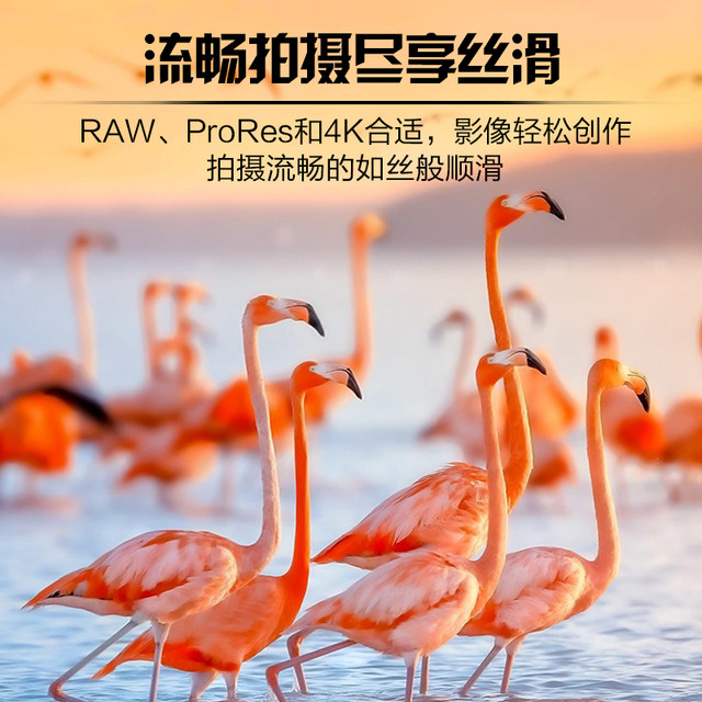 Cfast2.0 Memory Card Dajingyu Large Whale Camera Memory Card Is Suitable for Canon Xc15/50D7D