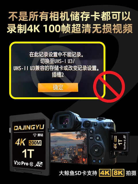 Big Whale V30 High-Speed Sd Memory Card 128g 256g 512g Camera Memory Card Suitable for Sony, Canon, Nikon