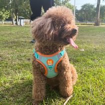 Dog Reflective Leash Harness Dog Walking Leash Teddy Bichon Small Dog Cat Leash Vest Style