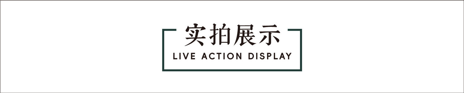 Emotional Support Pickle with Motivational Support Card - Product image 7