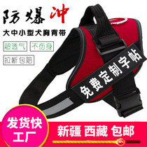 Xinjiang Tibetan Dog Leash Harness Dog Chain Large Medium and Small Dog Leash Teddy Golden Hair Lab