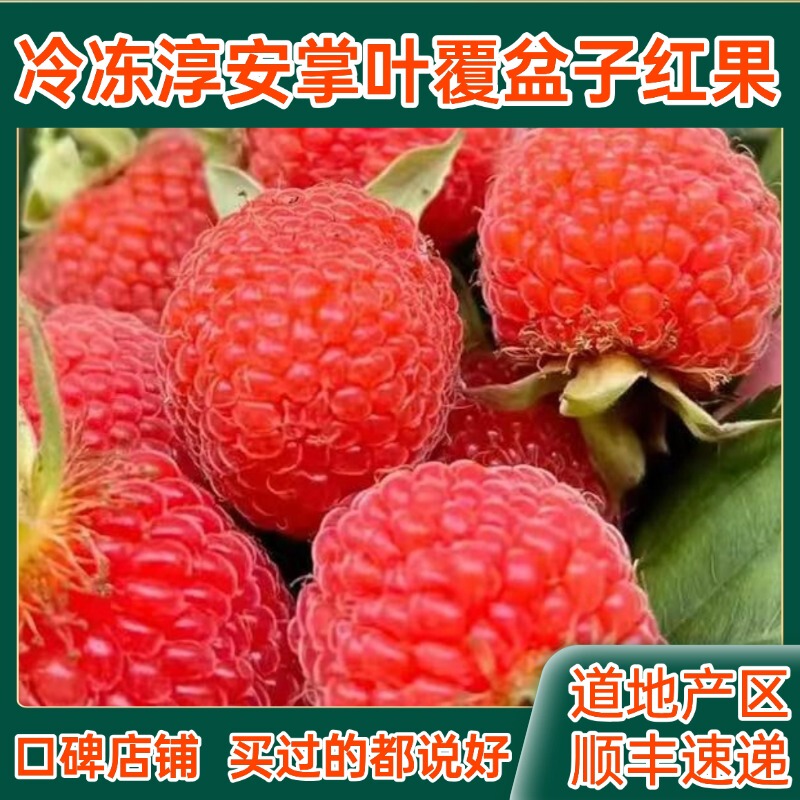 Frozen Raspberries, Fresh Fruit, Medicinal Palm-Leaf Raspberries, Frozen Fruit, Origin: Chun'An, Qiandao Lake, Linqi Town, Zhejiang Province