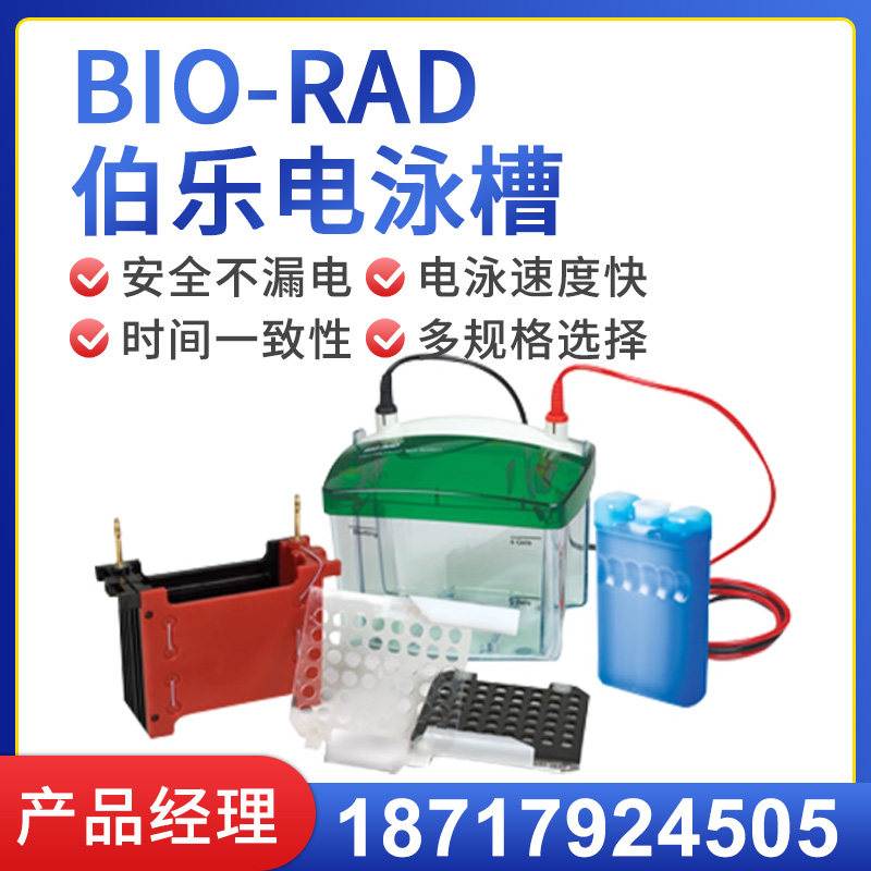 美国伯乐电泳槽美国biorad垂直电泳槽转印槽蛋白槽电泳仪一级代理