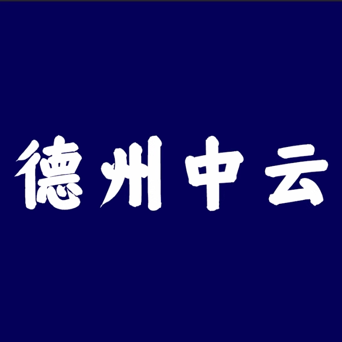 中云企业店的LOGO